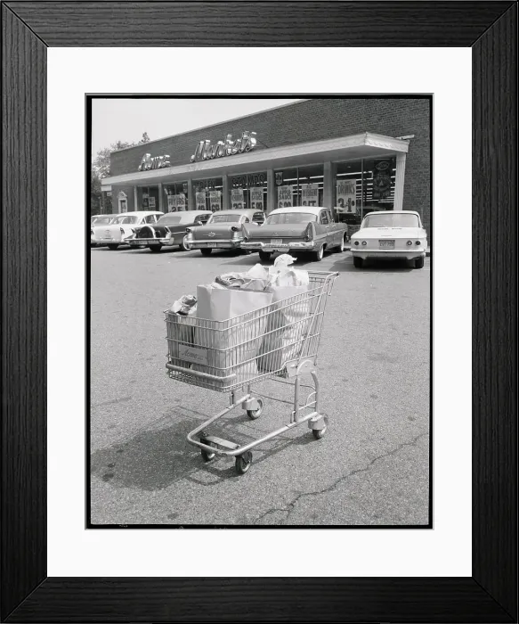 Framed Print : Shopping Cart in Parking Lot Framed Print : Shopping Cart in Parking Lot