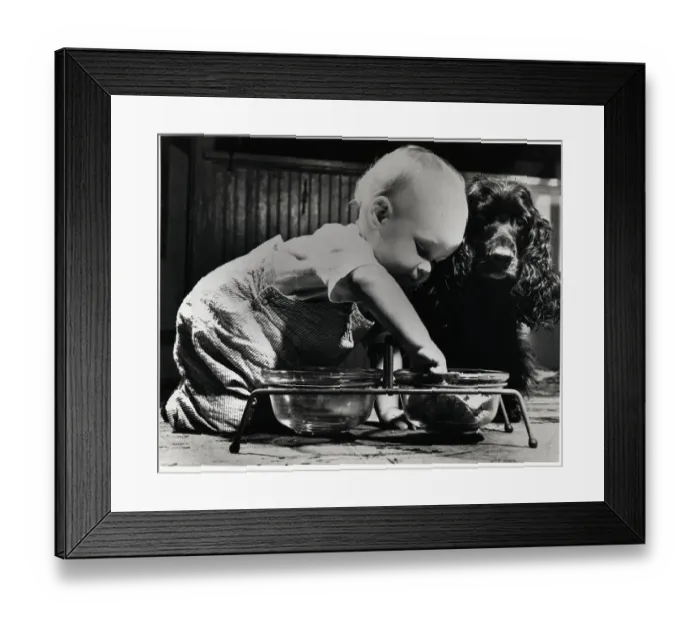 Framed Print : Toddler Inspects Dogs Bowl W / Pet Dog Framed Print : Toddler Inspects Dogs Bowl W / Pet Dog