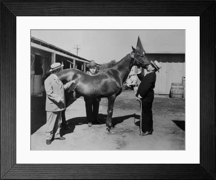 Framed Print : The Three Stooges with a Horse Framed Print : The Three Stooges with a Horse