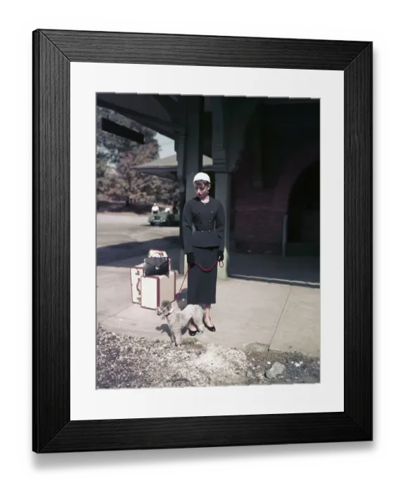 Framed Print : Audrey Hepburn with a Poodle in Sabrina Framed Print : Audrey Hepburn with a Poodle in Sabrina
