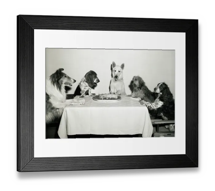 Framed Print : Movie Dog and Friends Celebrating Birthday Framed Print : Movie Dog and Friends Celebrating Birthday