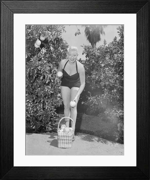 Framed Print : Actress Dagmar Picking Grapefruit