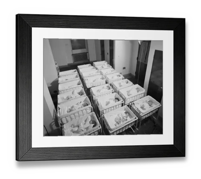 Framed Print : Newborn Babies In Cribs At Hospital Framed Print : Newborn Babies In Cribs At Hospital