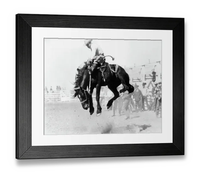 Framed Print : Saddle Bronc Riding Framed Print : Saddle Bronc Riding