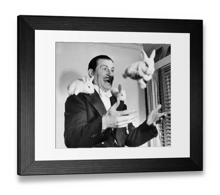 Framed Print : Juggler Ben Beri Juggling Rabbits Framed Print : Juggler Ben Beri Juggling Rabbits