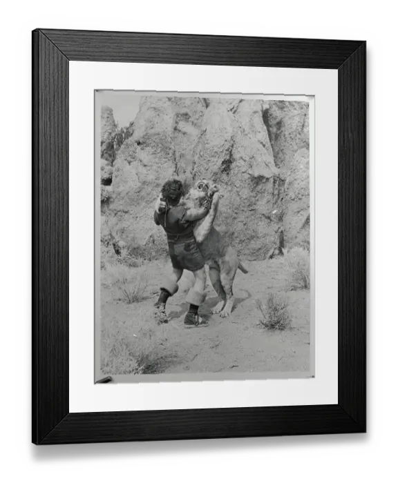 Framed Print : Victor Mature Fighting Lion in Movie Samson and Delilah Framed Print : Victor Mature Fighting Lion in Movie Samson and Delilah
