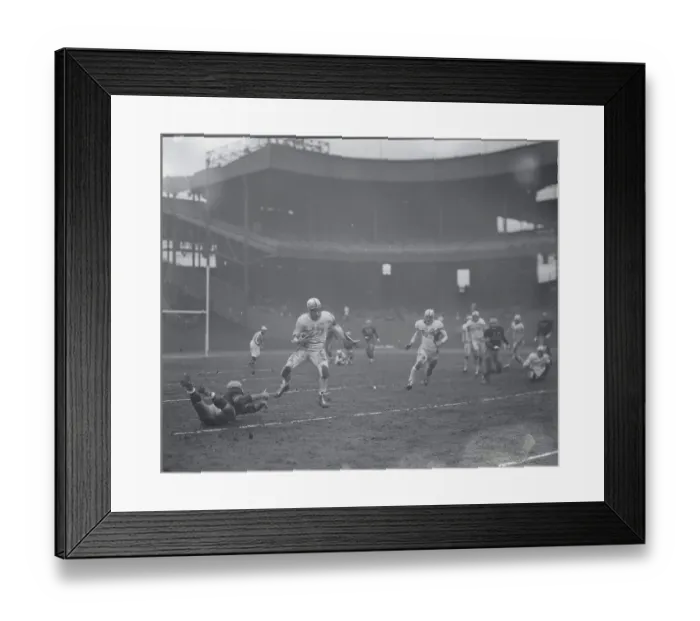Framed Print : Football Action with Bulldogs and Steelers