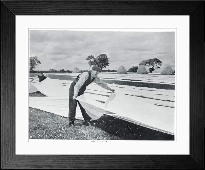 Framed Print : Linen Worker in Ireland Framed Print : Linen Worker in Ireland