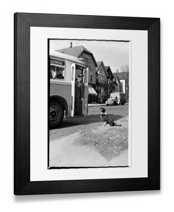 Framed Print : Loyal Fuski the Dog Waits for the Bus Framed Print : Loyal Fuski the Dog Waits for the Bus