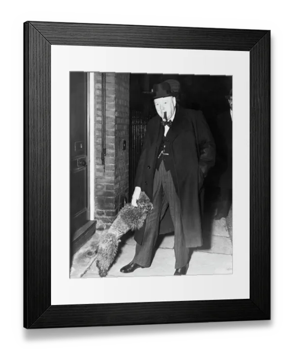 Framed Print : Churchill Being Greeted By Poodle Framed Print : Churchill Being Greeted By Poodle