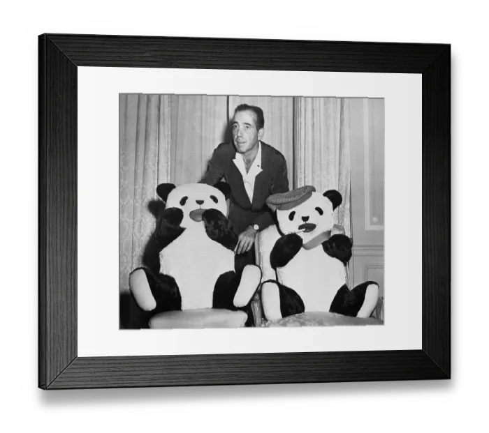 Framed Print : Humphrey Bogart with Stuffed Pandas Framed Print : Humphrey Bogart with Stuffed Pandas