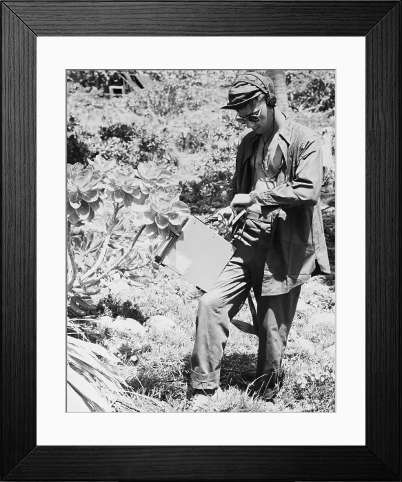 Framed Print : Researcher Studies Effect of Atomic Blast Framed Print : Researcher Studies Effect of Atomic Blast