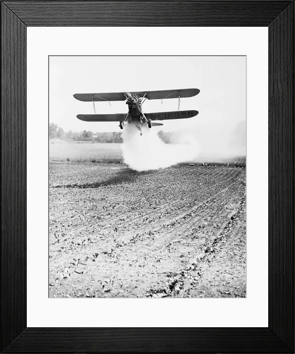 Framed Print : Bi-Plane Dusting Field with Pesticides Framed Print : Bi-Plane Dusting Field with Pesticides