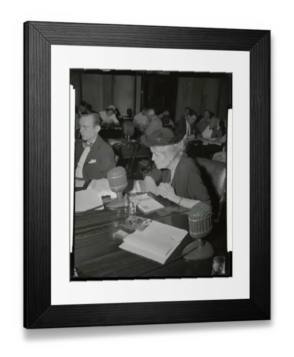 Framed Print : Josephine Roche Testifying in Court Framed Print : Josephine Roche Testifying in Court