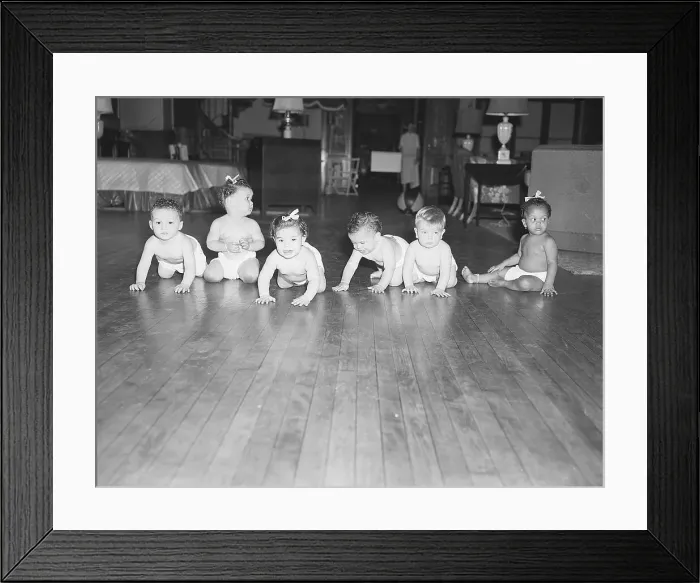 Framed Print : Babies Crawl and Train for Diaper Derby Framed Print : Babies Crawl and Train for Diaper Derby