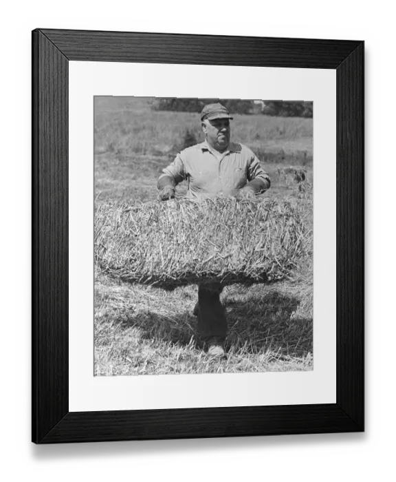Framed Print : Whittaker Chambers with a Bale of Hay