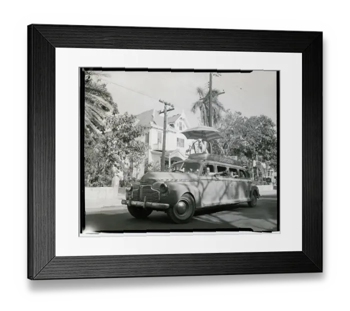 Framed Print : Dog On Roof Of Sight Seeing Car Framed Print : Dog On Roof Of Sight Seeing Car