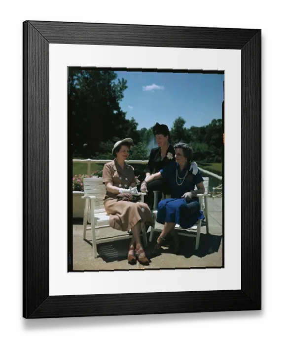 Framed Print : Women in Government and Politics Framed Print : Women in Government and Politics