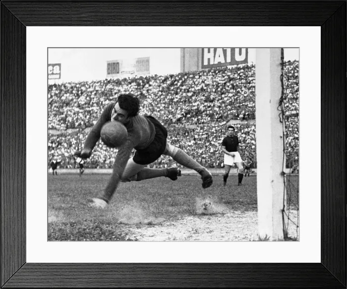Framed Print : Safe, By the Skin of Hist Teeth Framed Print : Safe, By the Skin of Hist Teeth