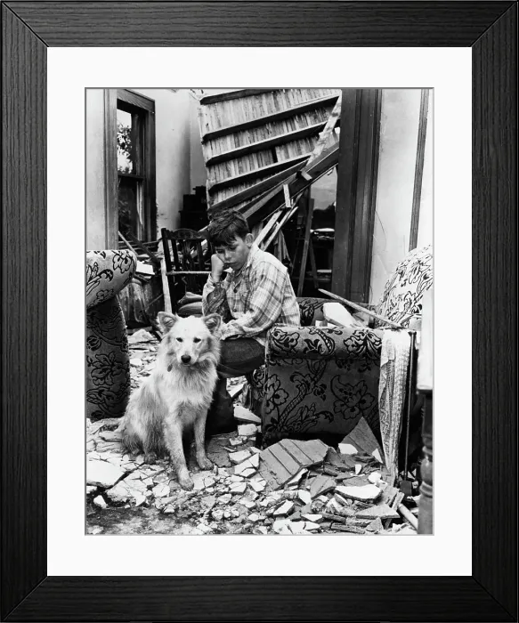 Framed Print : Boy And Dog In Wreckage Of Home Framed Print : Boy And Dog In Wreckage Of Home