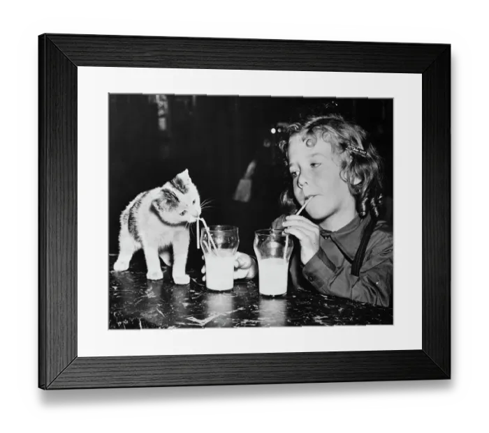 Framed Print : Girl and Cat Drinking Glasses of Milk Framed Print : Girl and Cat Drinking Glasses of Milk