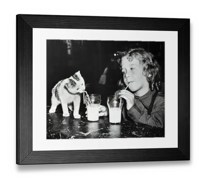 Framed Print : Girl And Kitten Drinking Milk Framed Print : Girl And Kitten Drinking Milk
