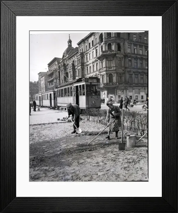 Framed Print : Couple Planting In Busy Section Framed Print : Couple Planting In Busy Section