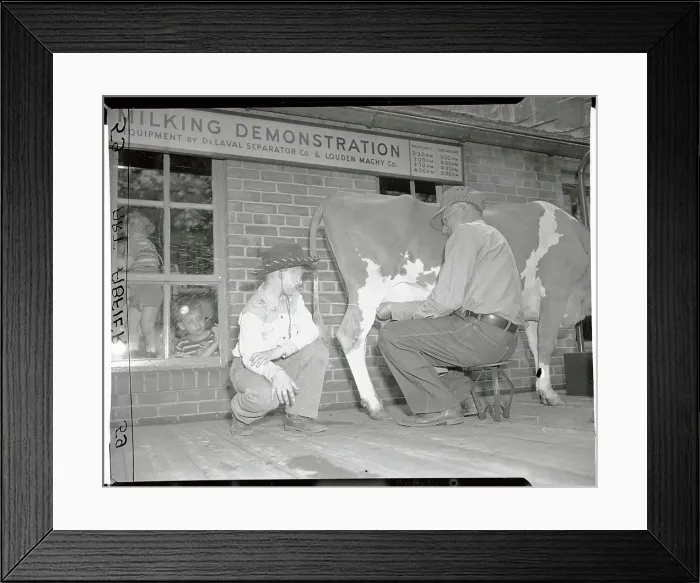 Framed Print : Boy in Cowboy Outfit Getting a Splash of Milk Framed Print : Boy in Cowboy Outfit Getting a Splash of Milk
