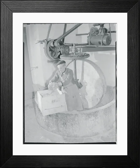 Framed Print : Workman Grinding Lavender Framed Print : Workman Grinding Lavender