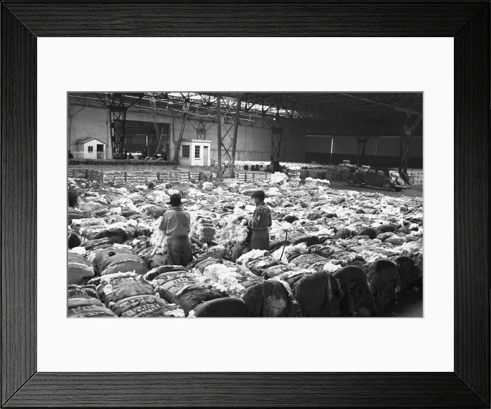 Framed Print : Bales Of Cotton in French Warehouse Framed Print : Bales Of Cotton in French Warehouse