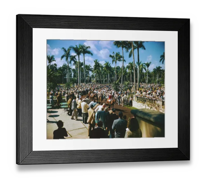 Framed Print : Crowd Watching Horses Leaving Paddock