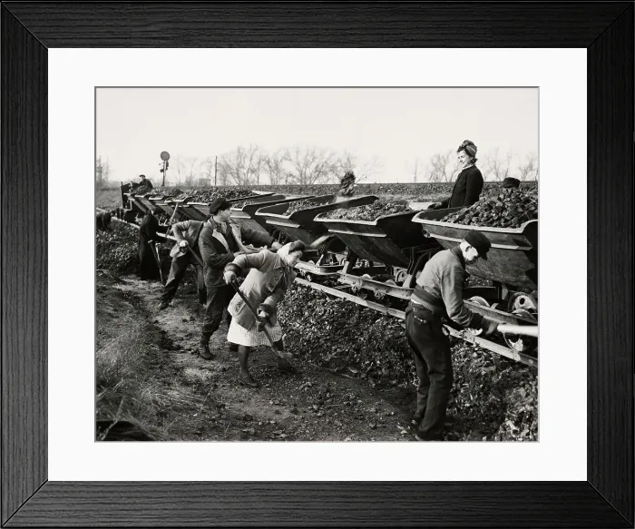Framed Print : Workers Shovelling Gravel Framed Print : Workers Shovelling Gravel
