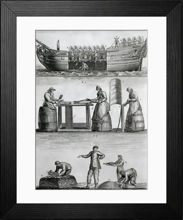 Framed Print : Three Panels Of Fish Industry In 1770 Framed Print : Three Panels Of Fish Industry In 1770