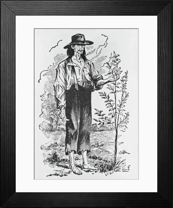 Framed Print : Illustration of Johnny Appleseed Framed Print : Illustration of Johnny Appleseed