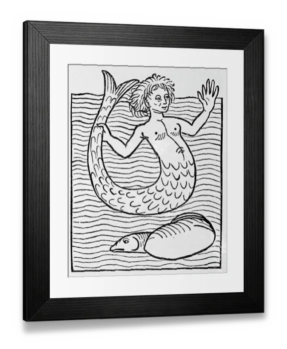 Framed Print : Mermaid In Sea; Fish Framed Print : Mermaid In Sea; Fish