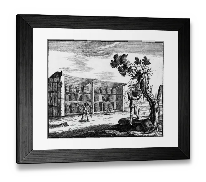 Framed Print : Beekeeper And Child With Bees Framed Print : Beekeeper And Child With Bees