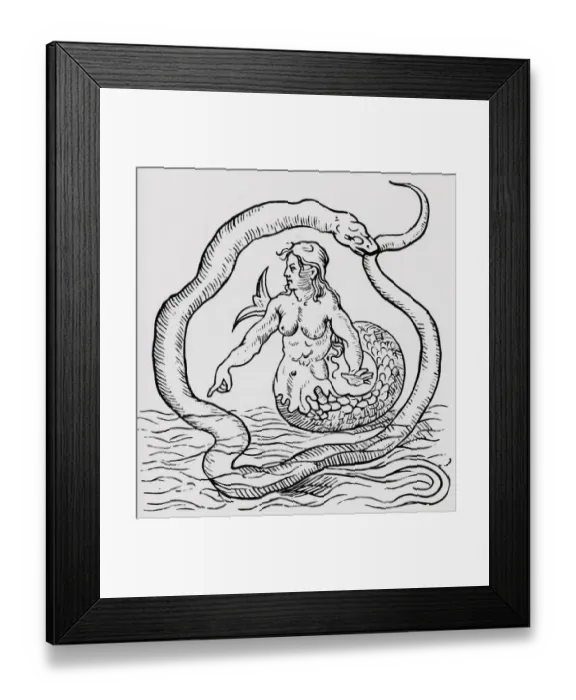 Framed Print : Woodcut Of Mermaid Surrounded By Snake Framed Print : Woodcut Of Mermaid Surrounded By Snake