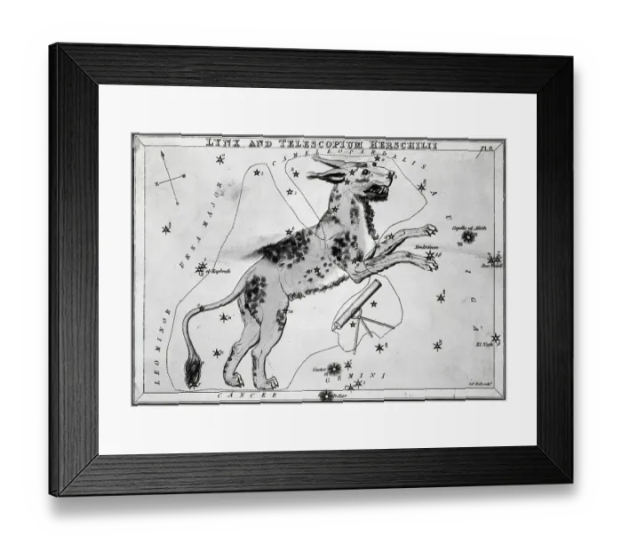 Framed Print : Engraving; Dog Constellation, Telescope Framed Print : Engraving; Dog Constellation, Telescope