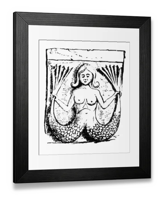 Framed Print : Woodcut Of Two-Tailed Mermaid Framed Print : Woodcut Of Two-Tailed Mermaid