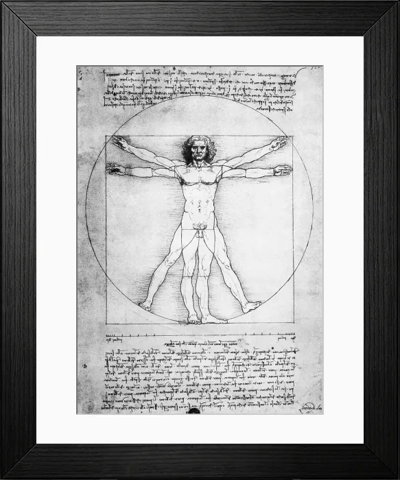 Framed Print : Vitruvian Man by Leonardo da Vinci Framed Print : Vitruvian Man by Leonardo da Vinci