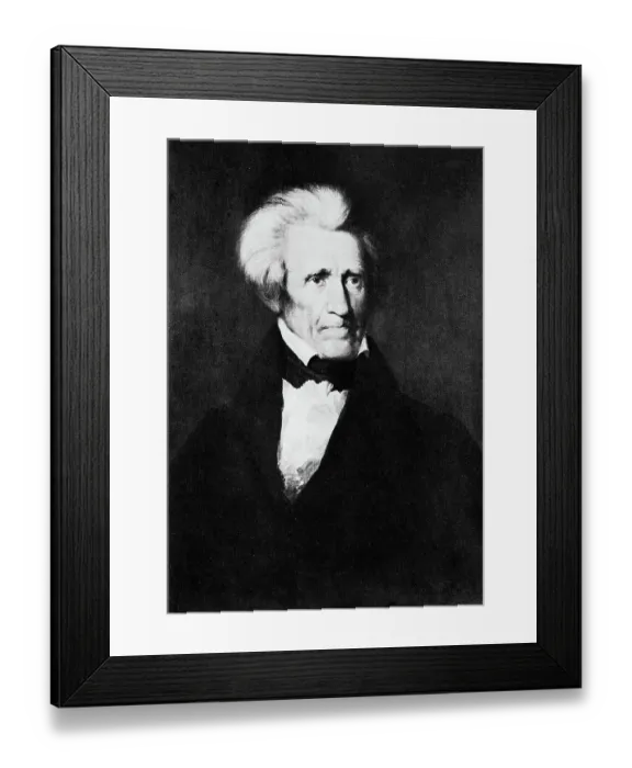 Framed Print : Portrait of Andrew Jackson Framed Print : Portrait of Andrew Jackson