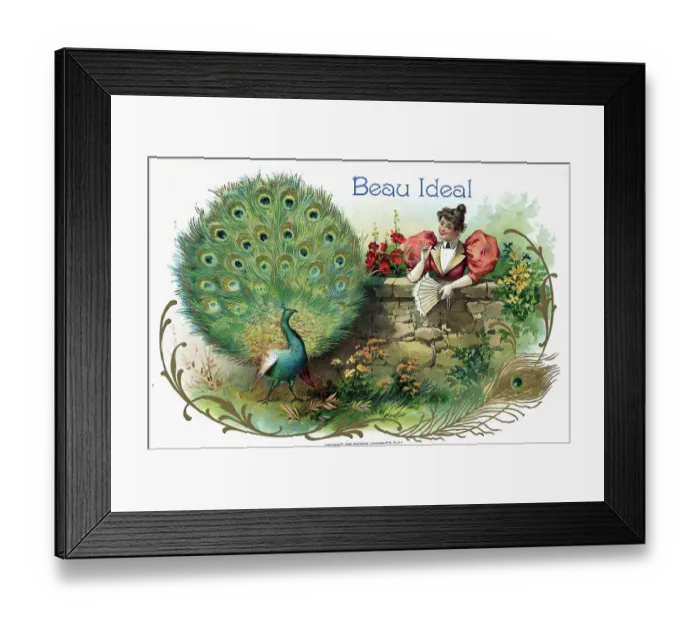 Framed Print : Cigar Box Label With Woman And Peacock Framed Print : Cigar Box Label With Woman And Peacock