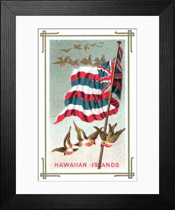 Framed Print : Birds Flying Beneath Hawaiian Flag Framed Print : Birds Flying Beneath Hawaiian Flag