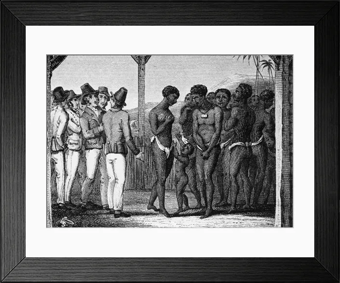 Framed Print : Illustration of Early 19th-Century Slave Auction Framed Print : Illustration of Early 19th-Century Slave Auction