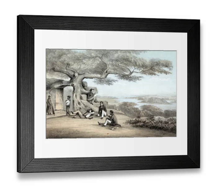 Framed Print : Illustration Of Group Seated Under Tree Framed Print : Illustration Of Group Seated Under Tree