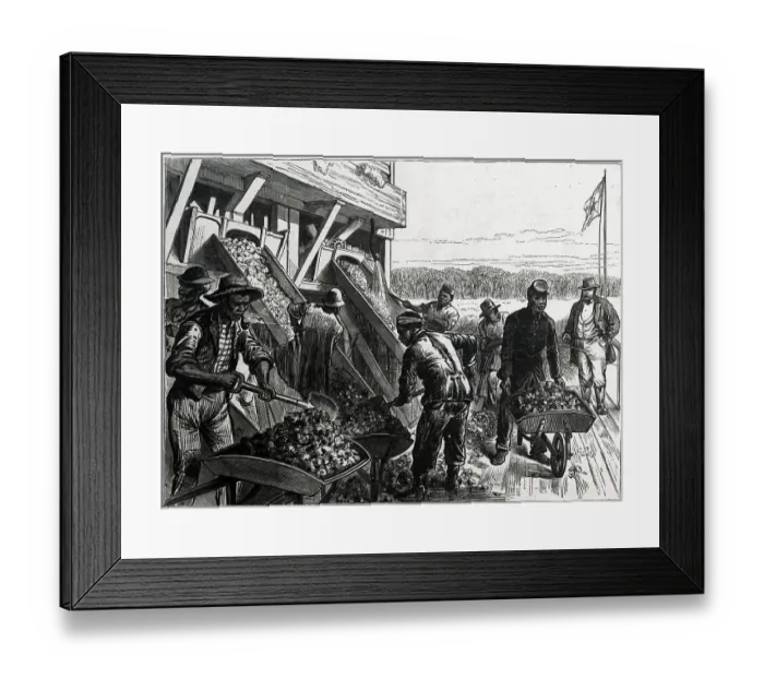 Framed Print : Laborers Washing The Phosphate Rock Framed Print : Laborers Washing The Phosphate Rock