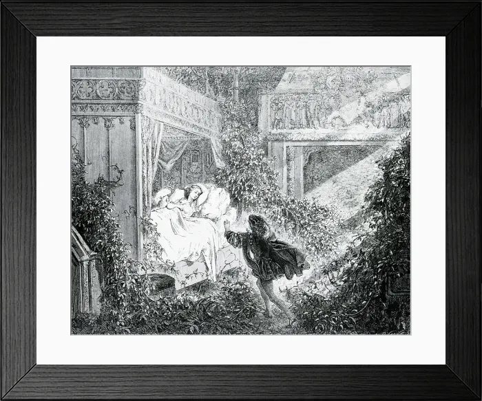 Framed Print : Illustration of the Prince Discovering Sleeping Beauty by Gustave Dore Framed Print : Illustration of the Prince Discovering Sleeping Beauty by Gustave Dore