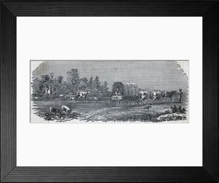 Framed Print : Illustration Of Settlers On The Move Framed Print : Illustration Of Settlers On The Move