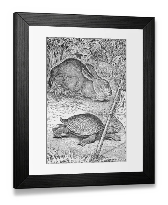 Framed Print : Illustration of the Tortoise and the Hare by Louis John Rhead Framed Print : Illustration of the Tortoise and the Hare by Louis John Rhead