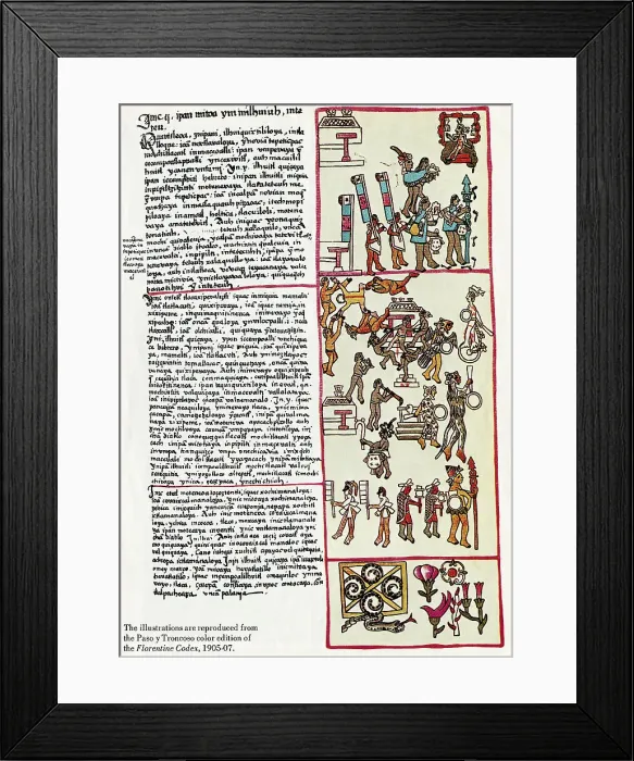 Framed Print : Illustrations From Florentine Codex Framed Print : Illustrations From Florentine Codex